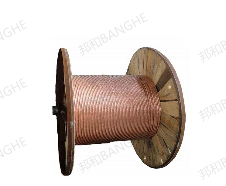 接地銅絞線(xiàn)